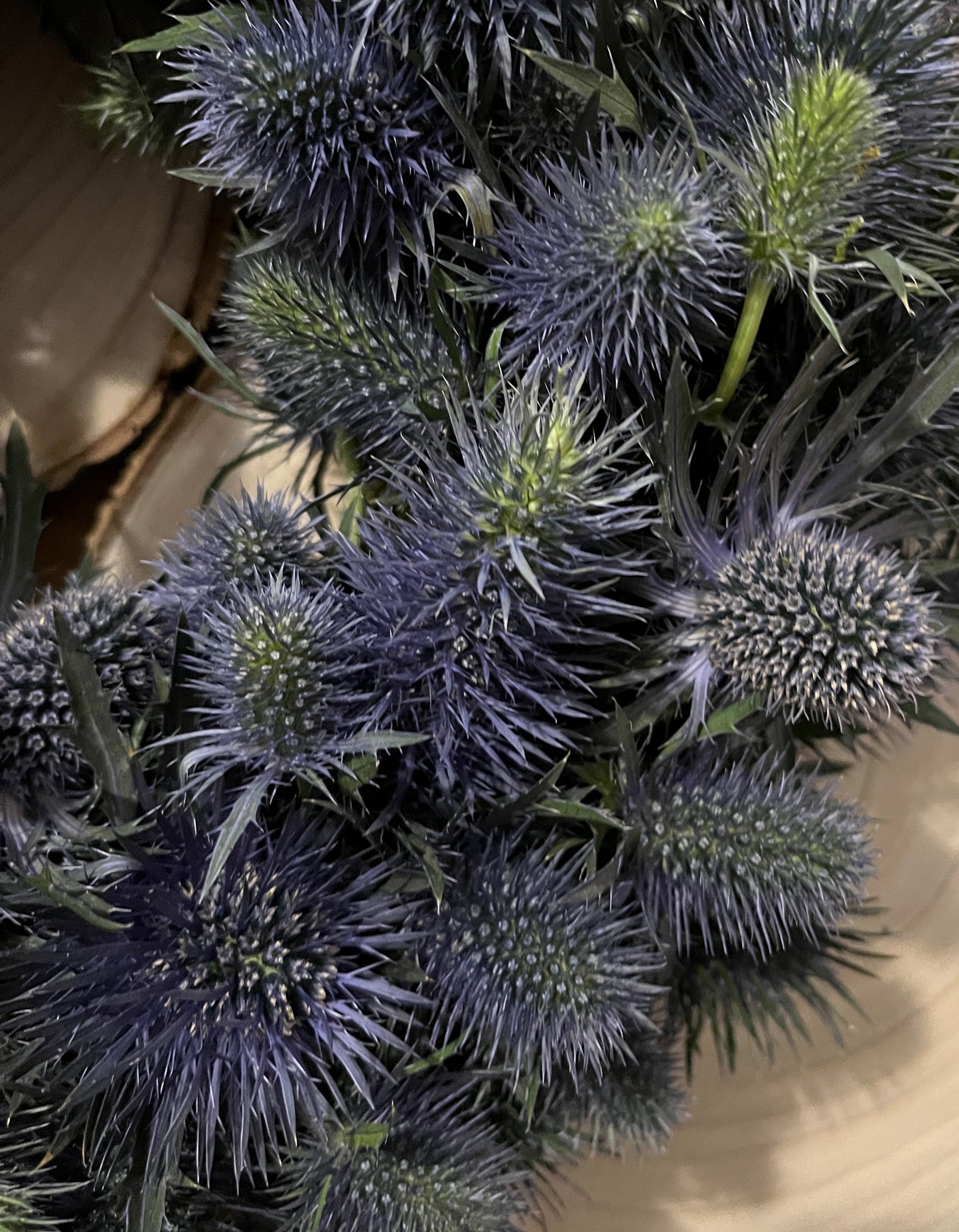Thistle Wreath