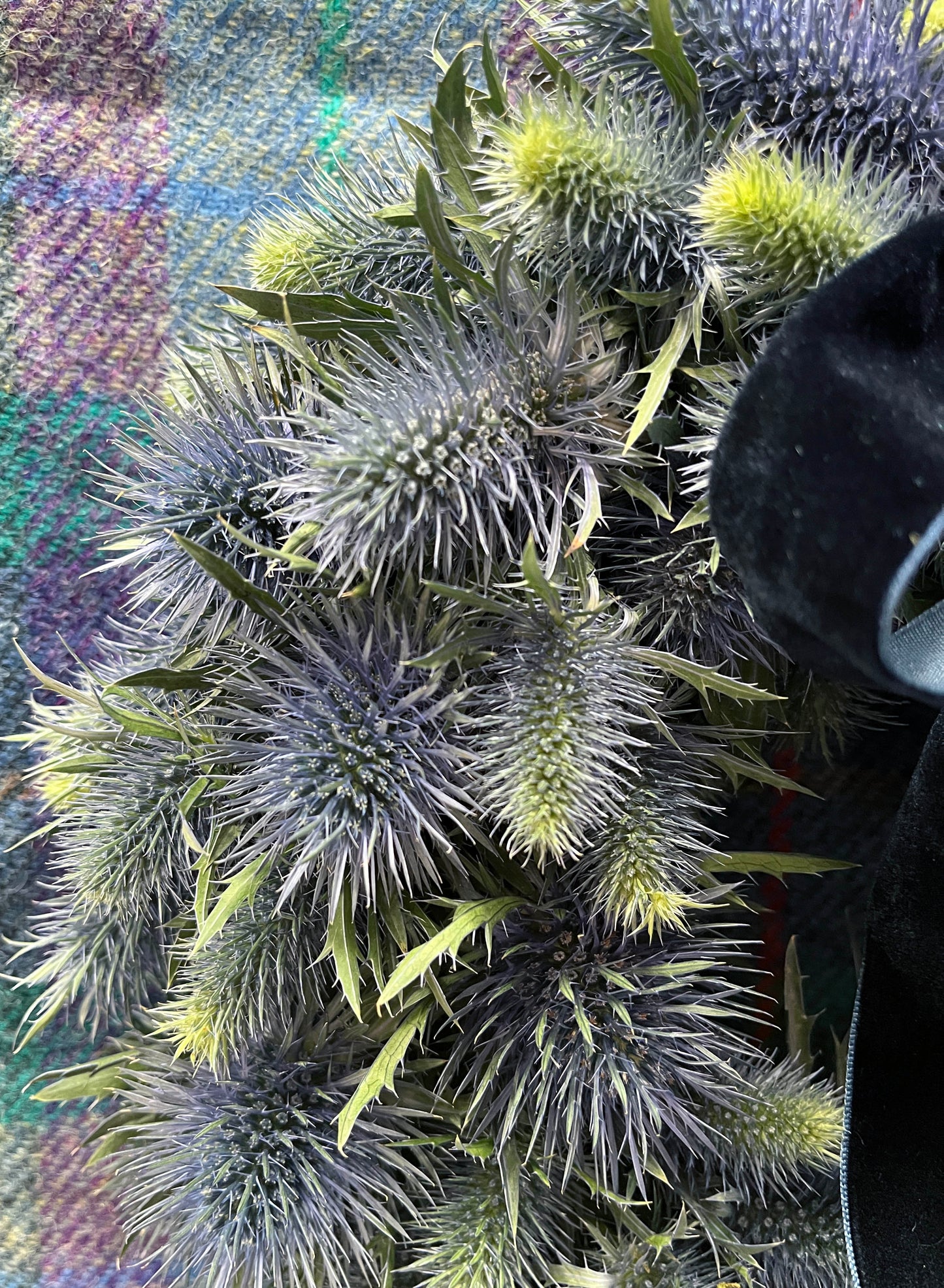 Thistle Wreath